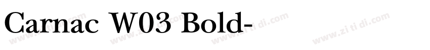 Carnac W03 Bold字体转换